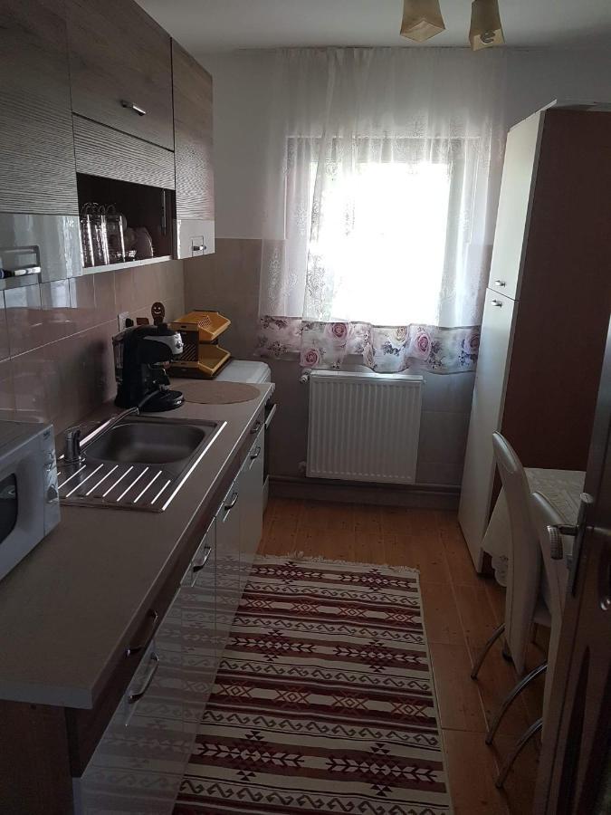 Casa Alma Hotel Borşa Екстериор снимка