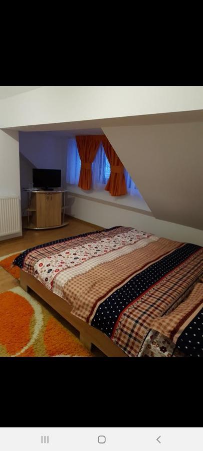 Casa Alma Hotel Borşa Екстериор снимка