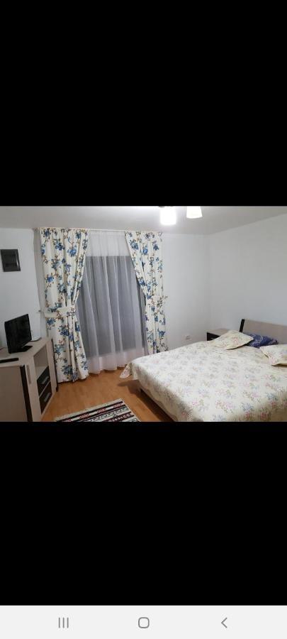 Casa Alma Hotel Borşa Екстериор снимка