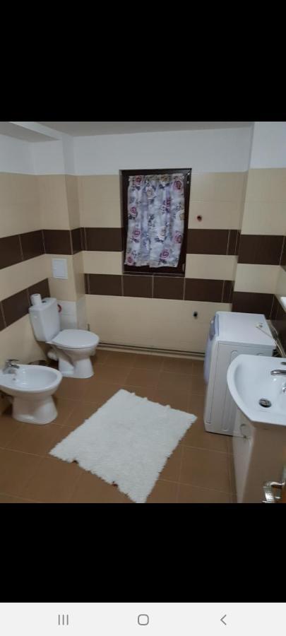 Casa Alma Hotel Borşa Екстериор снимка