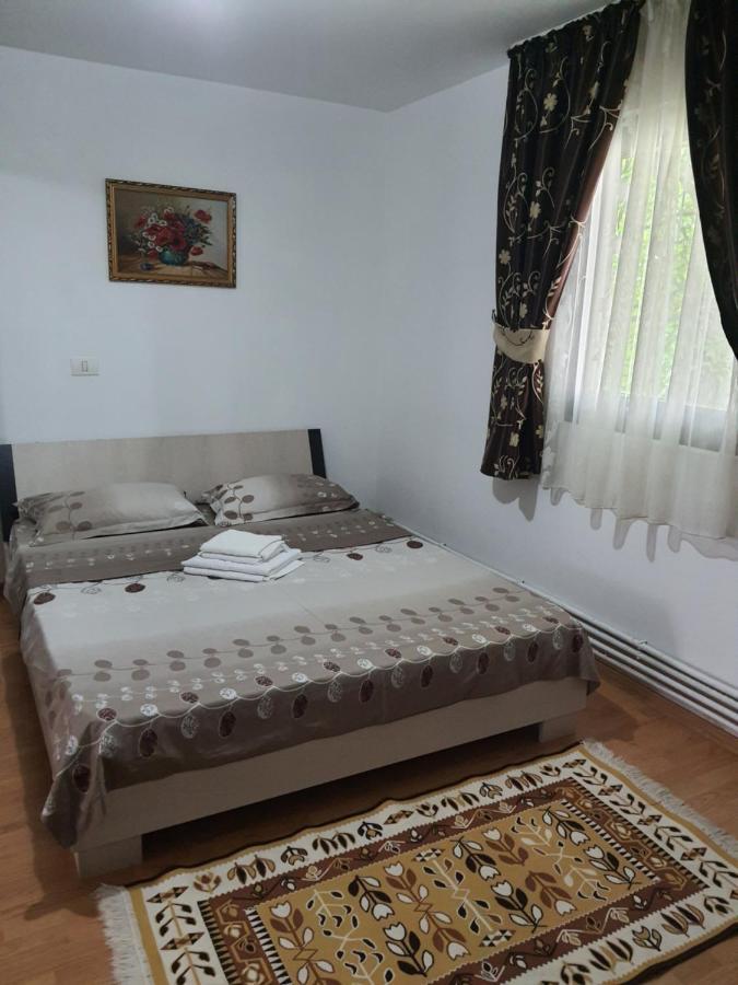 Casa Alma Hotel Borşa Екстериор снимка
