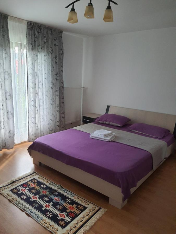 Casa Alma Hotel Borşa Екстериор снимка