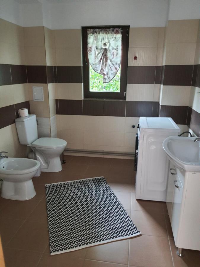 Casa Alma Hotel Borşa Екстериор снимка