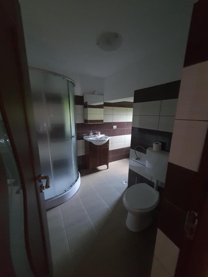 Casa Alma Hotel Borşa Екстериор снимка