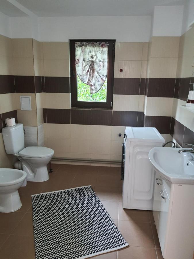 Casa Alma Hotel Borşa Екстериор снимка