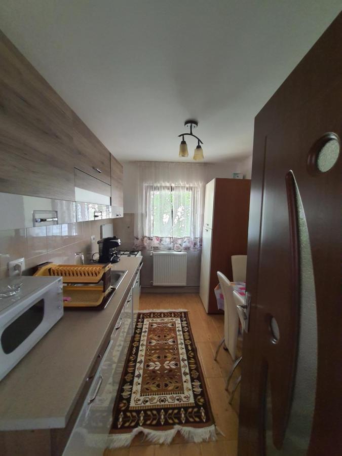 Casa Alma Hotel Borşa Екстериор снимка